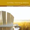 Fiction, Inc. - Sunday Morning Blend: Relaxing Guitar